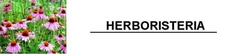 HERBORISTERIA