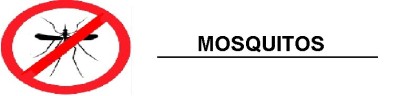 MOSQUITOS